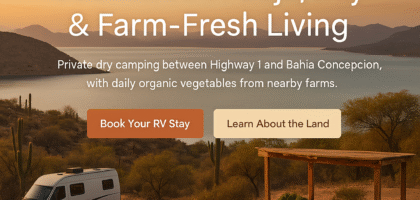 Hero image of Flora Farms Mulegé RV camping on 560-acre private land above Bahía Concepción, Baja California Sur, with bay views, desert cacti, camper vans, eco dry camping, and nearby organic farm stand with fresh vegetables.